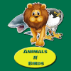 Animals and Birds Quiz