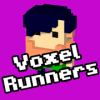 Voxel Runners加速器
