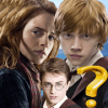 Harry Potter Hogwarts Fanquiz加速器