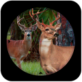 Sniper Deer Hunt:jungle hunt加速器