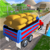 Cargo Indian Truck 3D加速器