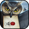 Talking Harry magic rush - mystery games magic app