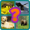 Hidden Animals Quiz