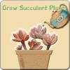 Grow plant加速器