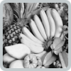 SEARCH FRUIT NAME加速器