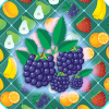 Fruit Forest Link Match加速器