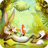 Looney Dash : Free Subway Bunny Adventure加速器