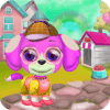 Game Pet Care And Salon for Kids加速器