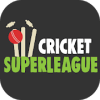 Wicket Cricket Super League加速器