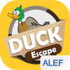 Duck Escape加速器