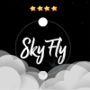 SkyFly 2D加速器