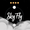 SkyFly 2D