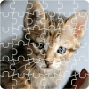 Jigsaw - Cat Kingdom
