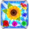 Blossom Burst Puzzle 2019加速器