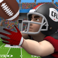 CFL Football Frenzy加速器