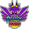 DragonBound加速器