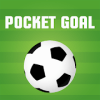 Pocket Goal加速器