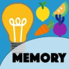 Memory Gastro加速器