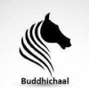 Buddhichal加速器