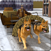 Dog Sledding Transportation加速器