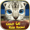 Crazy Cat Rush Racing Run Kitty Craft加速器