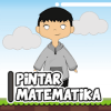 Pintar Matematika加速器