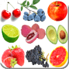 Kids Brain game Picture Match加速器