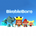 BimbleBorn加速器