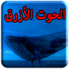 الحوت الأزرق
‎