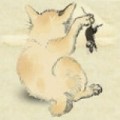 猫咪地盘之战