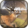 Animal Hunting Sport Wild Hunter Sniper 3D
