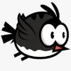 Seabird Survival