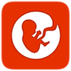 BitLife - Simulator加速器