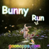 Bunny Run11