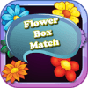 Flower Box Match加速器