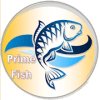 Prime Fish加速器