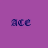 ACE - Coin Collector Game加速器