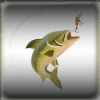 Fishing Game 2019加速器