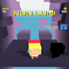 Run Lumi