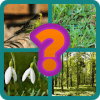 4 Pics 1 Word HOT QUIZ 2019