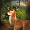 Deer Hunt Reloaded 2019 : New Classic FPS Shooter