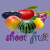 shoot fruit加速器