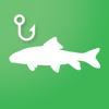 Baitfish Primer