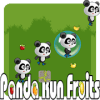 Fruits Panda Runner加速器