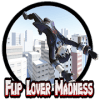 Flip Lover Madness加速器