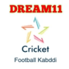 DREAM11 ALL SPORT INFO加速器