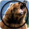 Bear Hunting : Sniper 3d加速器