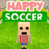 Happy Soccer加速器