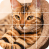 Tile Puzzle: cute cats加速器