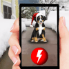 Christmas Dogs GO